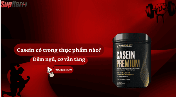 Casein thực phẩm chức năng cho gymer – Bí quyết chọn đúng Casein cho người tập Gym