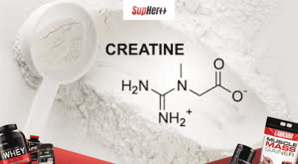 Thành phần của thực phẩm bổ sung Creatine
